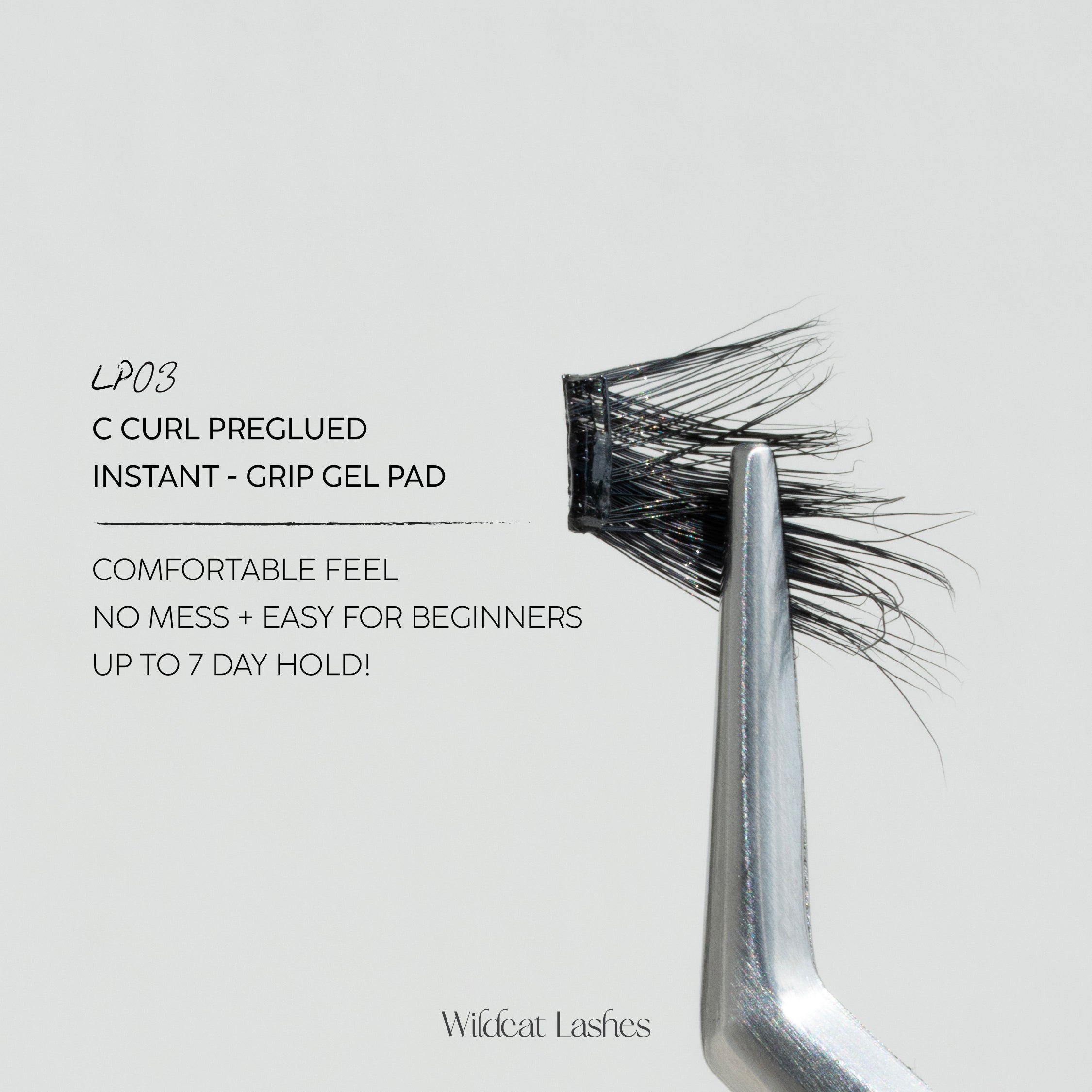 LP03 PREGLUED