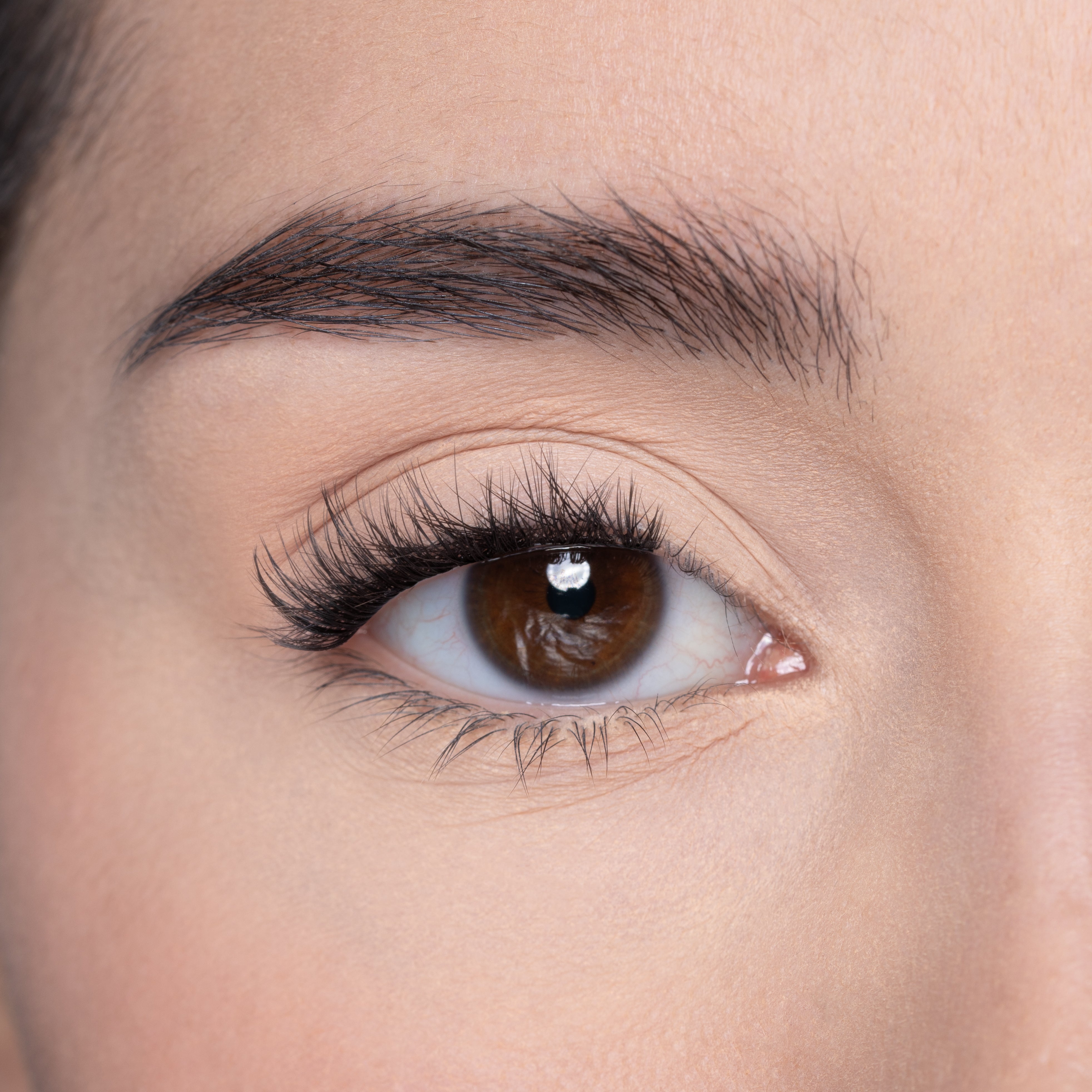 LP12 PREGLUED HALF LASH