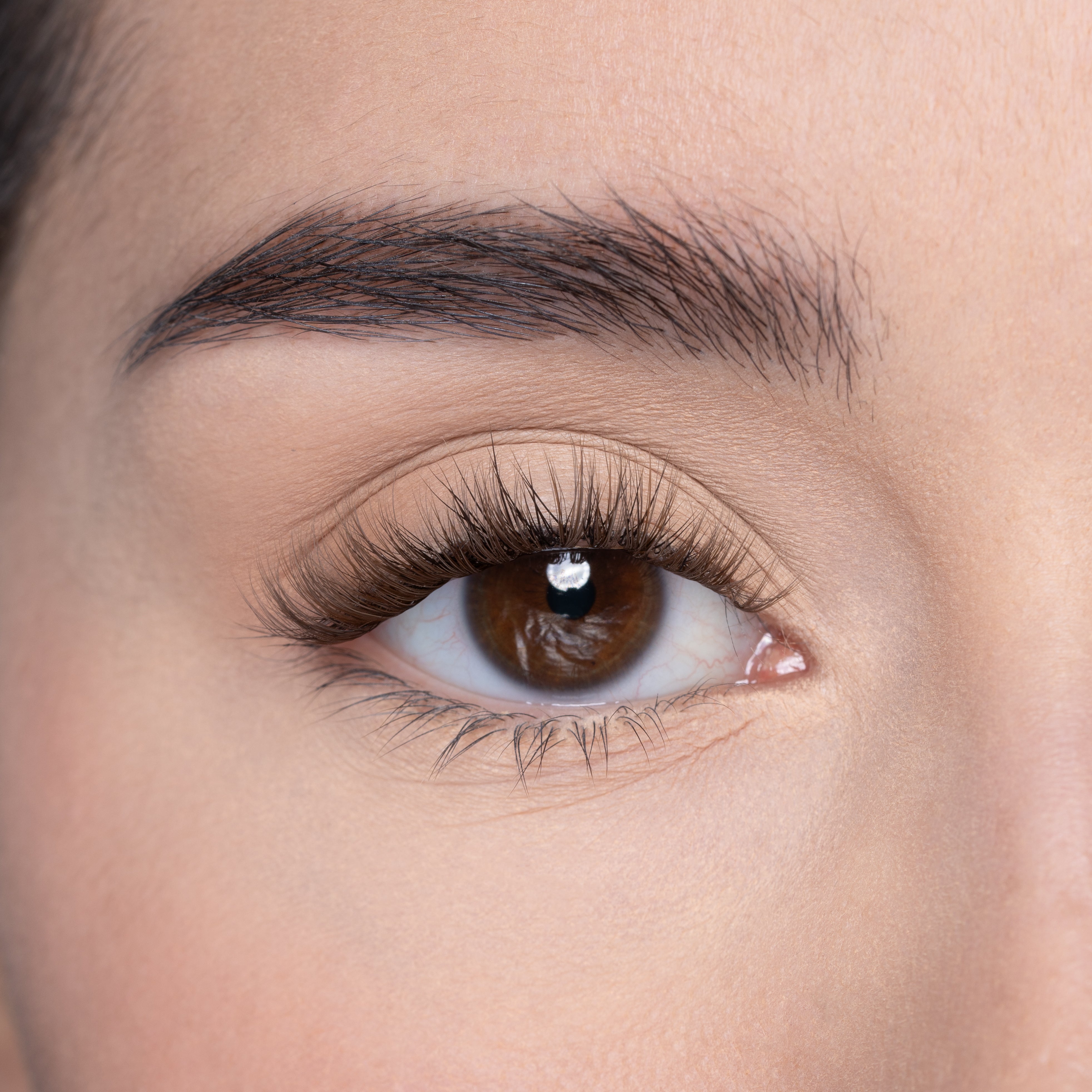 LP09 DEEP BRONZE PREGLUED