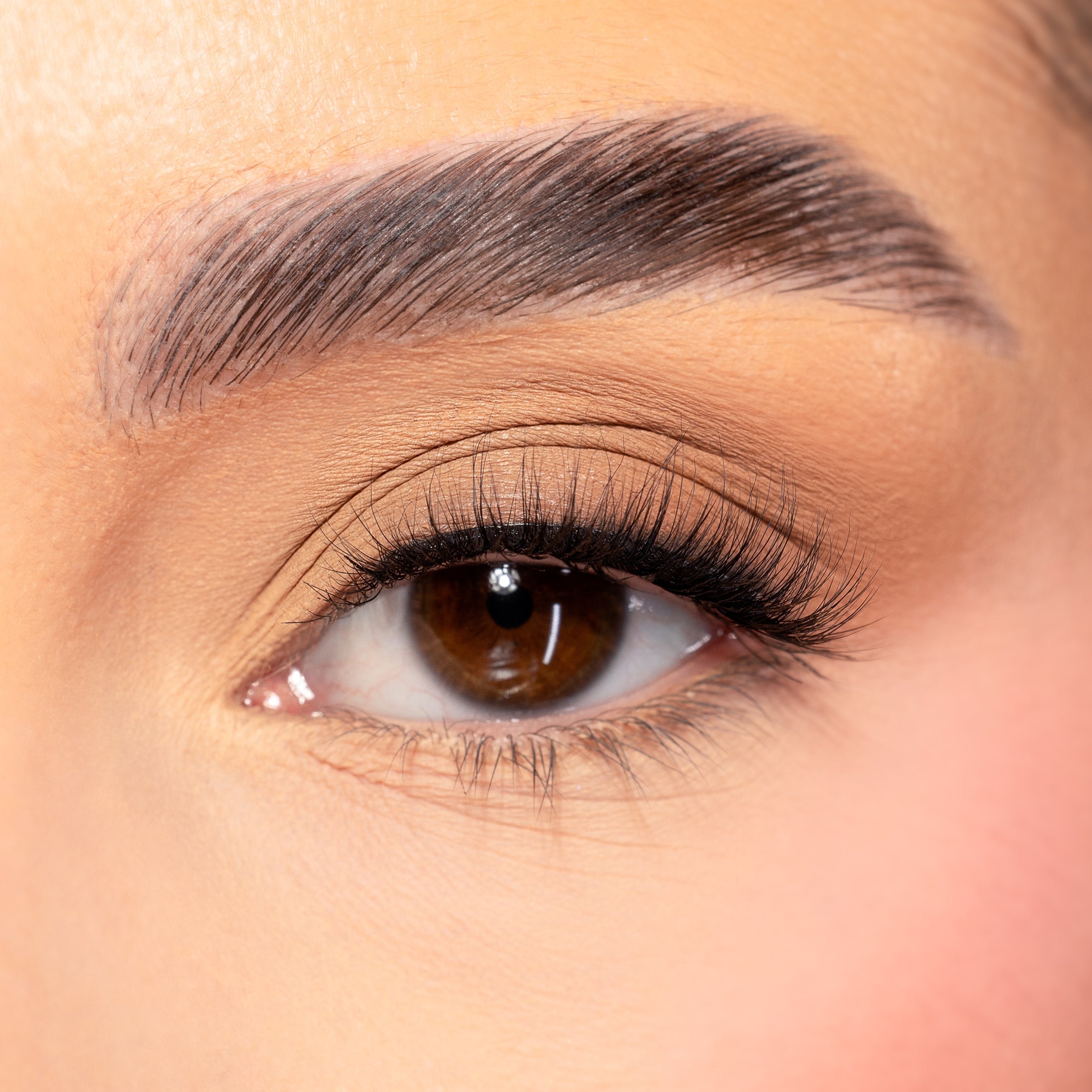 HALO| Half Lash