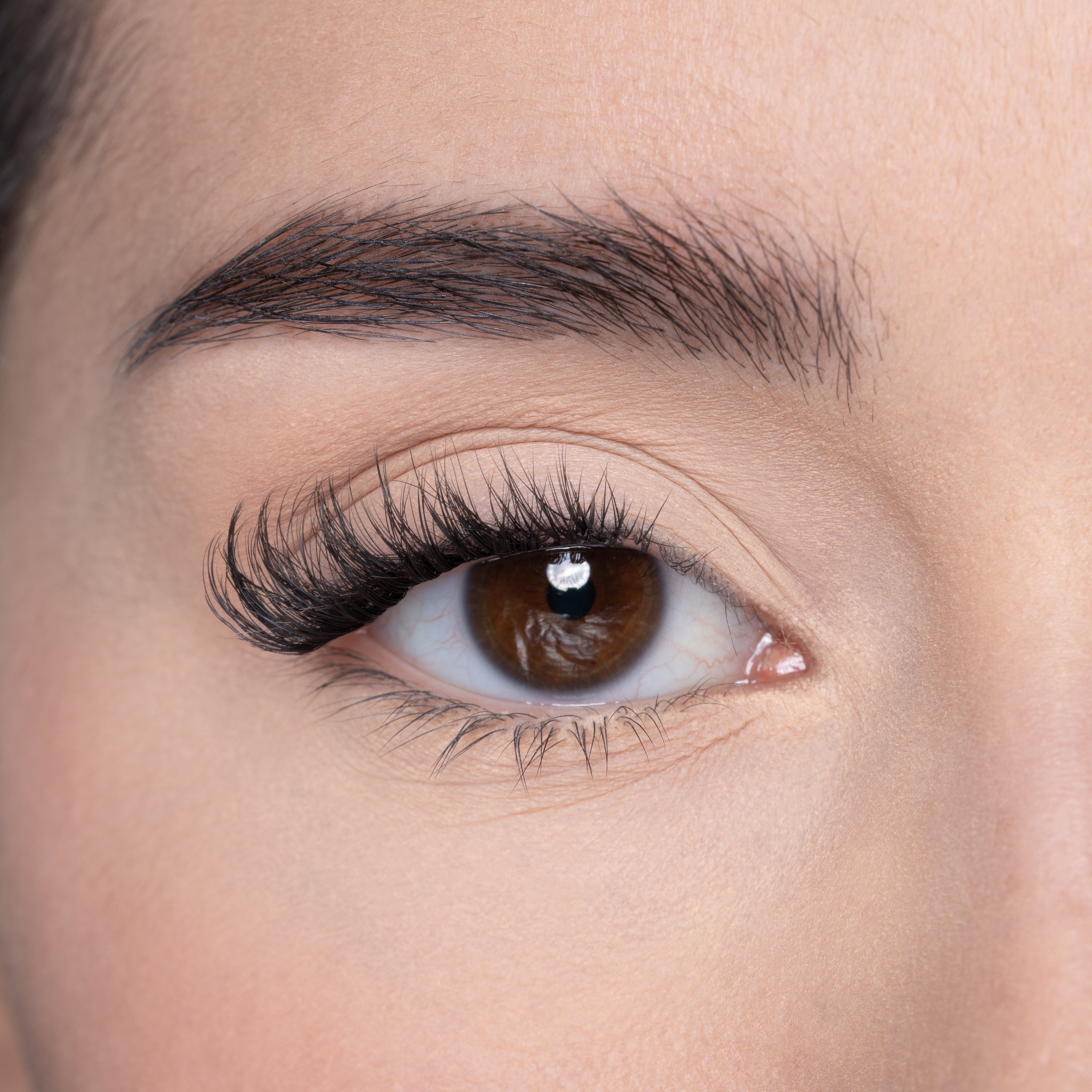 LP11 PREGLUED HALF LASH