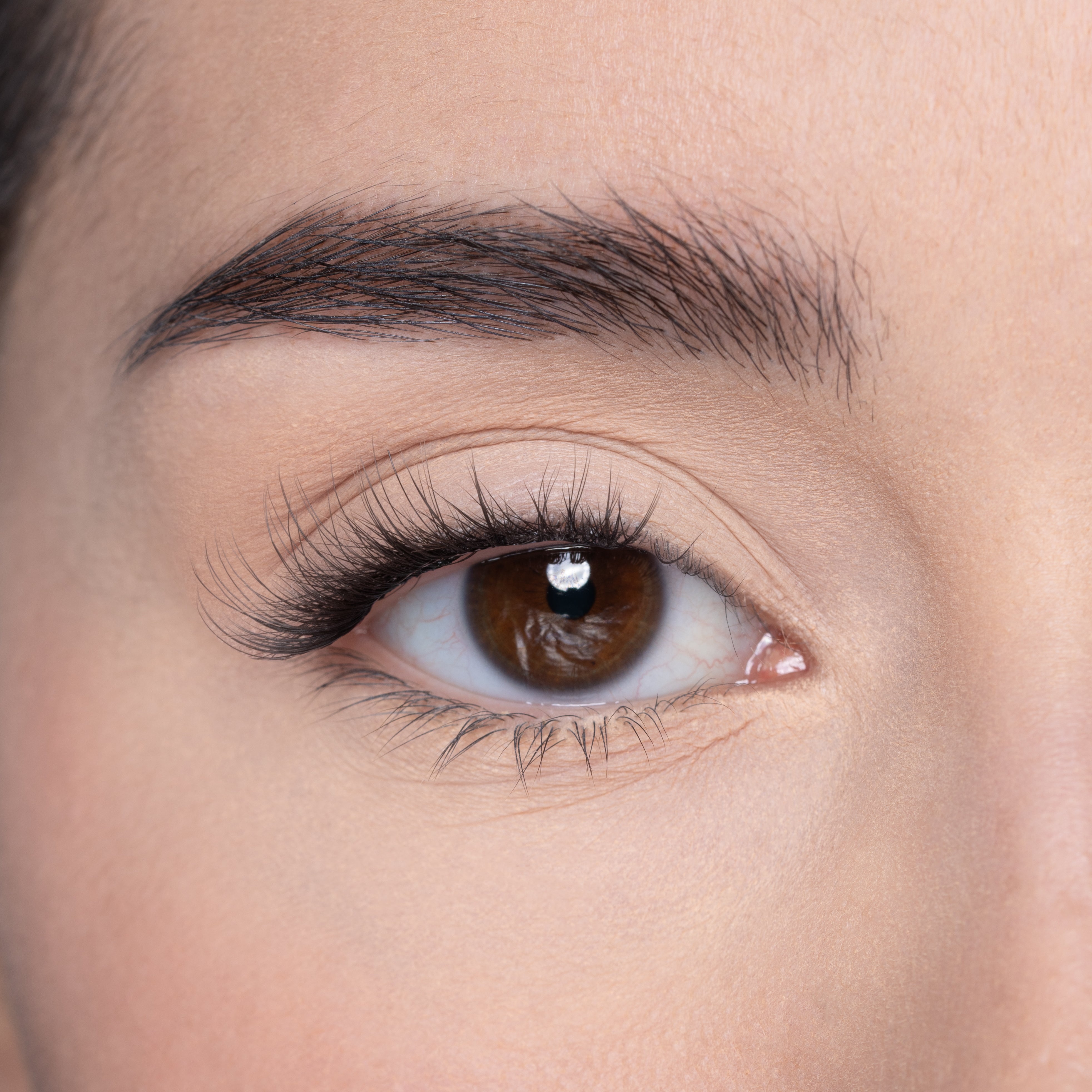 LP13 PREGLUED HALF LASH