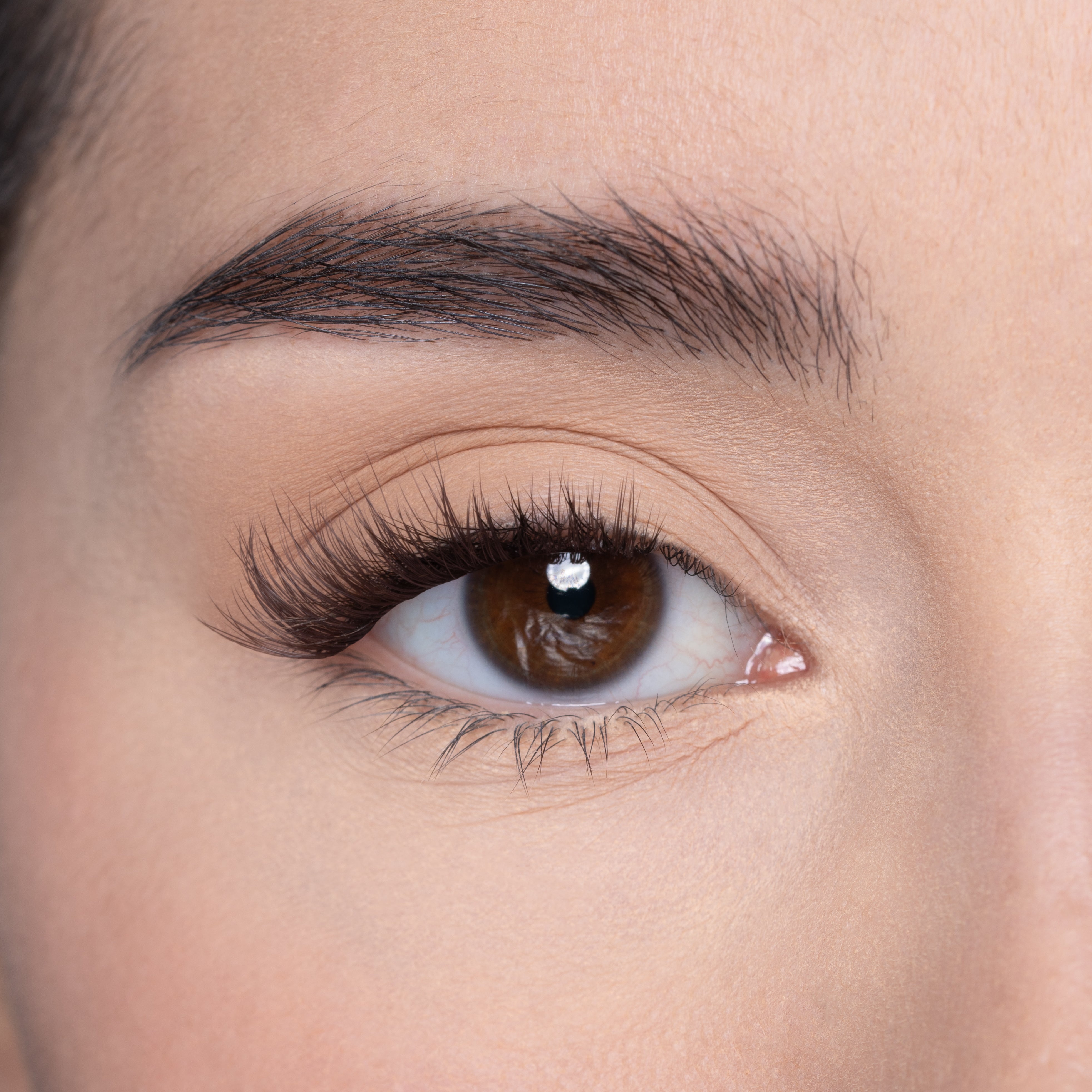 LP14 PREGLUED HALF LASH - DEEP BROWN
